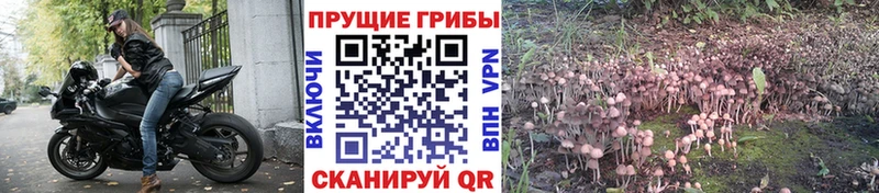 Галлюциногенные грибы ЛСД  Сурск 